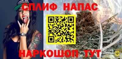 стафф Можга