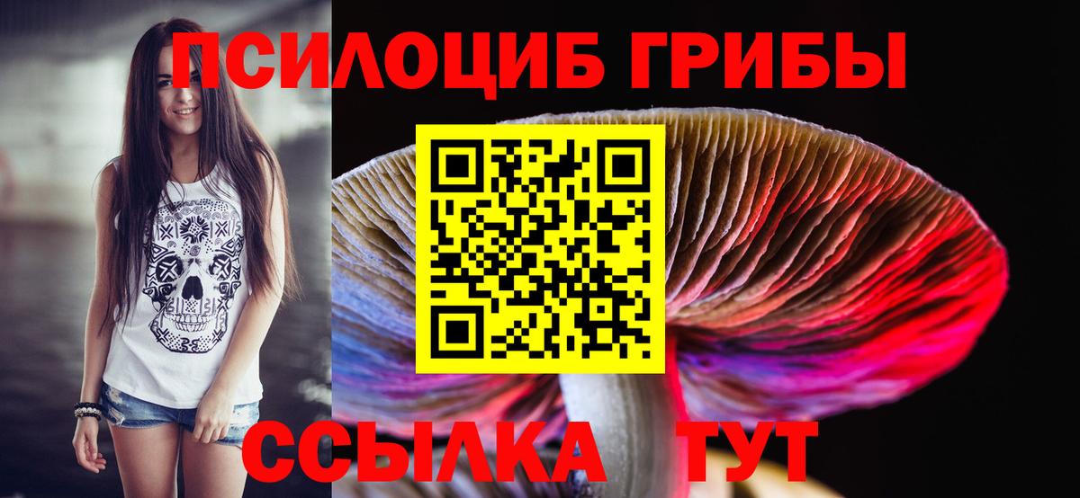 Чехов  Псилоцибиновые грибы Psilocybe  Вход с VPN 